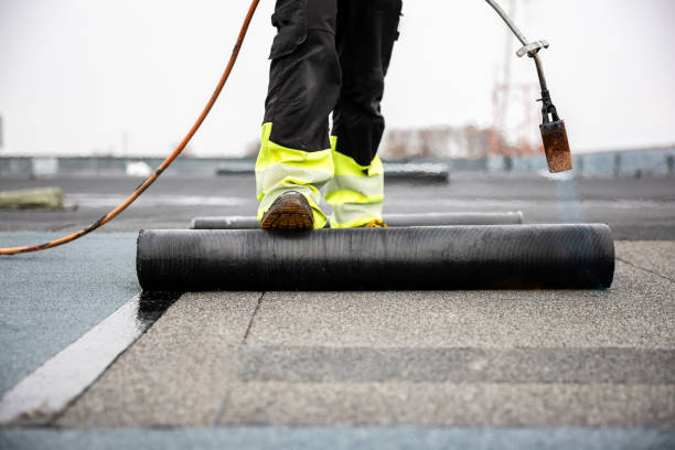 Best Roof Insulation Installation  in Salado, TX